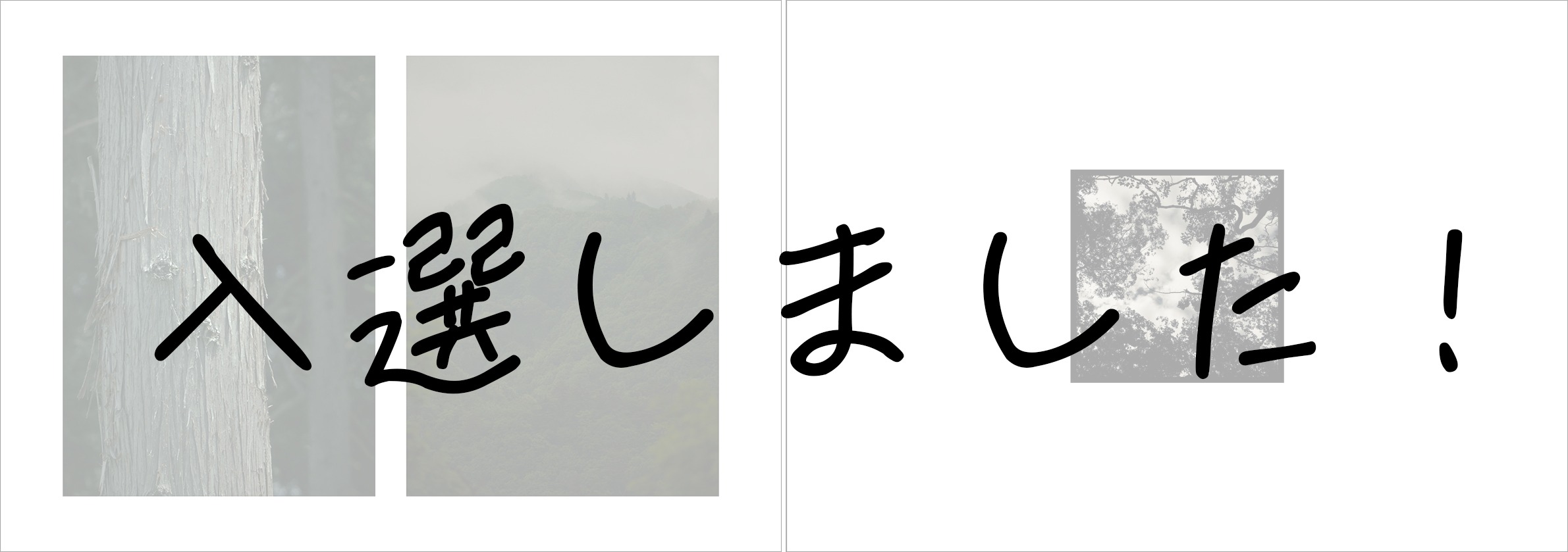 【コンテスト入賞のご報告】